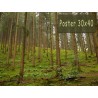 Poster 30x40